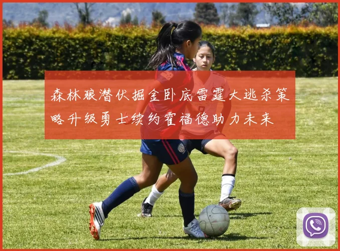 森林狼潜伏掘金卧底雷霆大逃杀策略升级勇士续约霍福德助力未来