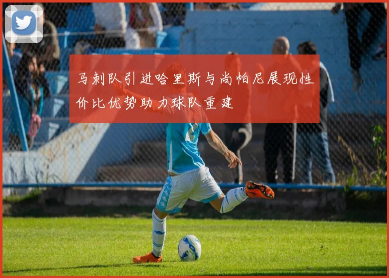 马刺队引进哈里斯与尚帕尼展现性价比优势助力球队重建